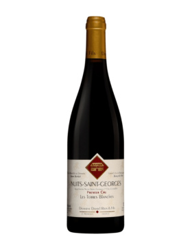 Jean-Charles Rion - Nuits Saint Georges 1er Cru « Les Terres Blanches » Rouge - 2021