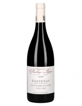 Domaine Bachey-Legros - Santenay Champ Claude Vieilles Vignes 2021