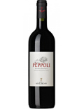 Antinori Peppoli - Chianti Classico - Rouge - 2022