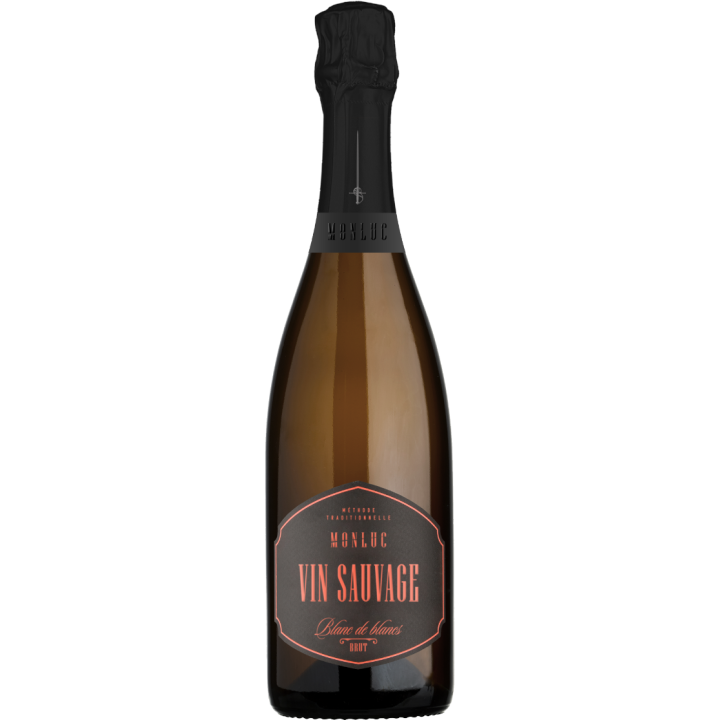 Château Monluc, Vin sauvage brut - Vins de Gascogne au meilleur prix