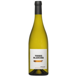Muscat Sec les Terres Blanches - Frontignan Muscat - Expédition rapide