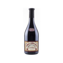 Magnum Clos de l'Echo Rouge 2019 - Domaine Couly Dutheil - 150 cl