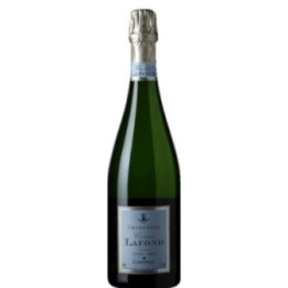 Extra-Brut - Champagne Comtesse Lafond - 75 cl
