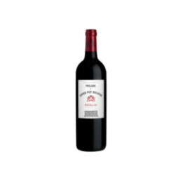 Prélude à 2017 - Château Grand-Puy Ducasse - 75 cl