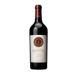 Magnum Saint Emilion Grand Cru 2014 - Château Quintus - 150 cl