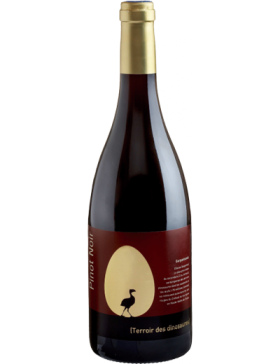 Anne De Joyeuse Terres des Dinosaures Rouge - 2019 - Vin Pays-d'Oc