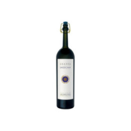Grappa Di Sassicaia - Jacopo Poli - 50 cl