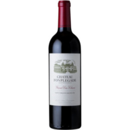 Saint Emilion Grand Cru 2017 - Château Fonplegade - 75 cl