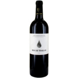 Magnum Saint Emilion Grand Cru 2019 - Château Riou de Thaillas - 150 cl