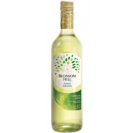 Pinot Grigio - Blossom Hill - 75 cl