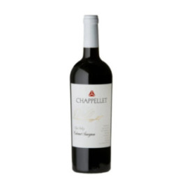 Dom Napa Valley Rouge 2019 - Chappellet - 75 cl