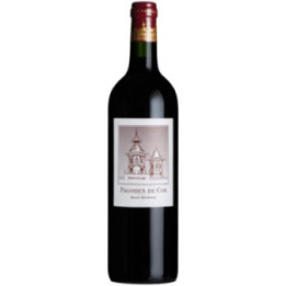 Pagodes de Cos Rouge 2020 - Château Cos d'Estournel - 75 cl