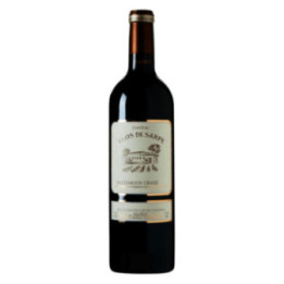 Saint Emilion Grand Cru 2019 - Château Clos de Sarpe - 75 cl