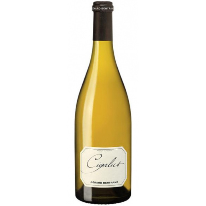 Cigalus Blanc 2024 - Gérard Bertrand - 75 cl