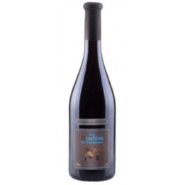 Les Moulins de Turquant Rouge 2022 - Couly Dutheil - 75 cl
