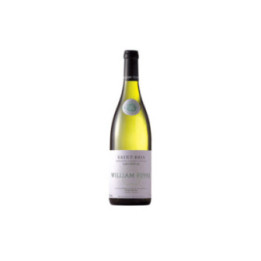 Saint-Bris Sauvignon 2019 - Domaine William Fèvre - 75 cl