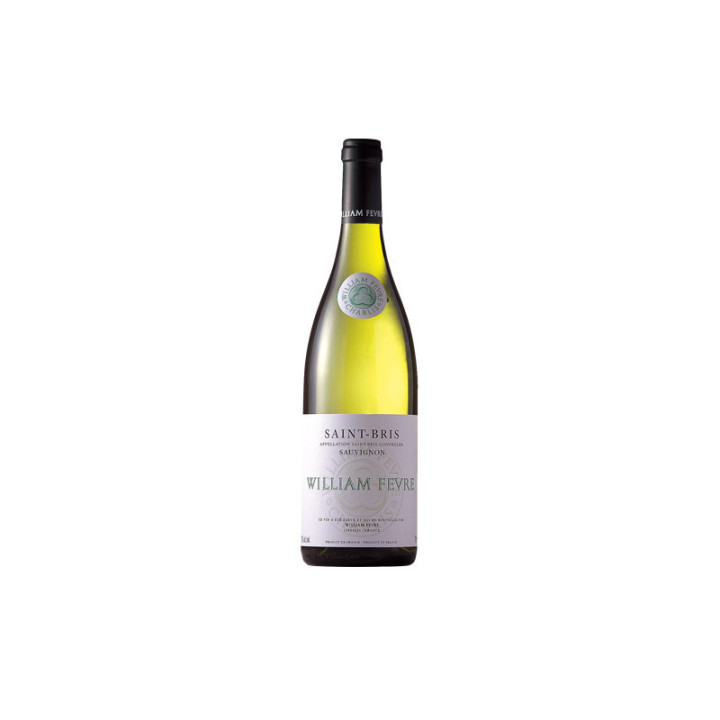 Saint-Bris Sauvignon 2019 - Domaine William Fèvre - 75 cl