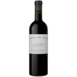 Mendoza Rouge 2021 - Cheval des Andes - 75 cl