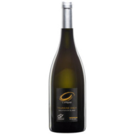 L'Ellipse Blanc 2024 - Delobel - 75 cl