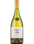 Casillero del Diablo Chardonnay - Blanc - 2021