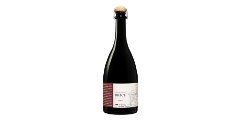 Vin Brice Bouzy Rouge - 2021 au meilleur prix